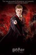 plakaty-harry-potter5-solo-7741.jpg