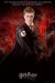 plakaty-harry-potter5-solo-7741.jpg
